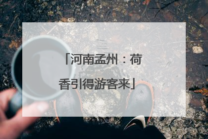 河南孟州：荷香引得游客来