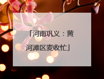 河南巩义：黄河滩区麦收忙