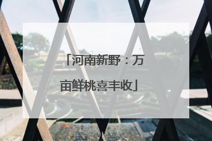 河南新野：万亩鲜桃喜丰收