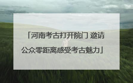 河南考古打开院门 邀请公众零距离感受考古魅力