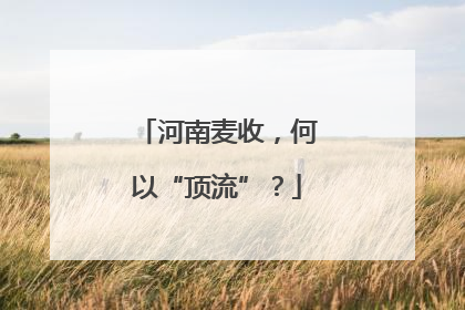 河南麦收，何以“顶流”？