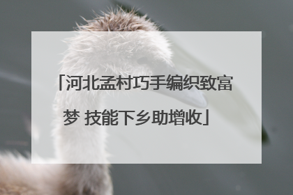 河北孟村巧手编织致富梦 技能下乡助增收