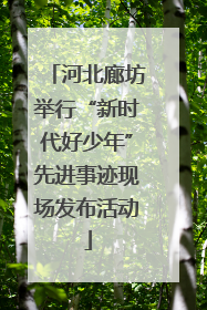 河北廊坊举行“新时代好少年”先进事迹现场发布活动