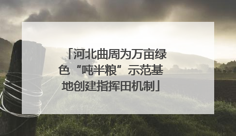 河北曲周为万亩绿色“吨半粮”示范基地创建指挥田机制