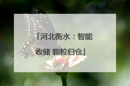 河北衡水：智能收储 颗粒归仓