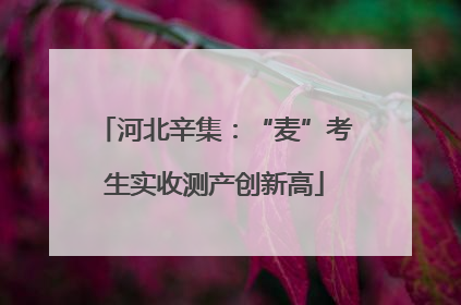 河北辛集：“麦”考生实收测产创新高