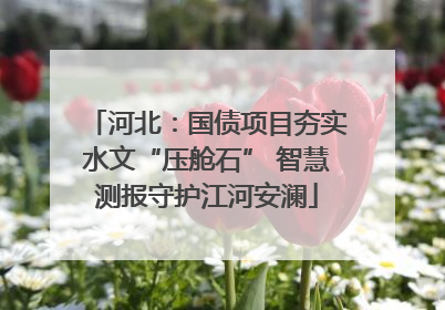 河北：国债项目夯实水文“压舱石” 智慧测报守护江河安澜