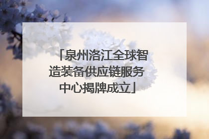 泉州洛江全球智造装备供应链服务中心揭牌成立