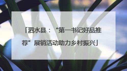 泗水县：“第一书记好品推荐”展销活动助力乡村振兴