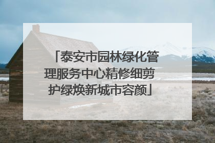 泰安市园林绿化管理服务中心精修细剪护绿焕新城市容颜