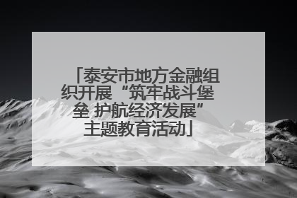 泰安市地方金融组织开展“筑牢战斗堡垒 护航经济发展”主题教育活动