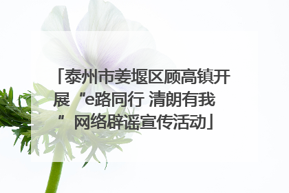 泰州市姜堰区顾高镇开展“e路同行 清朗有我”网络辟谣宣传活动