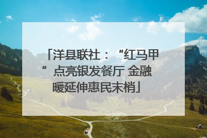 洋县联社：“红马甲”点亮银发餐厅 金融暖延伸惠民末梢