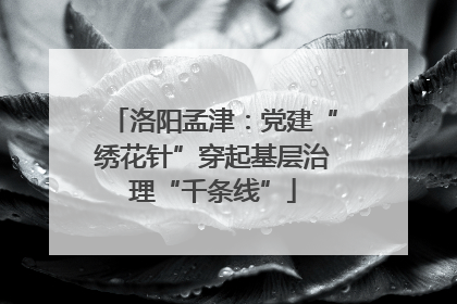 洛阳孟津：党建“绣花针”穿起基层治理“千条线”