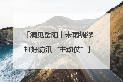 洞见岳阳丨未雨绸缪 打好防汛“主动仗”