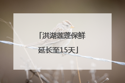 洪湖莲蓬保鲜延长至15天
