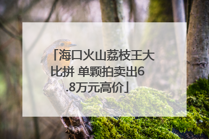 海口火山荔枝王大比拼 单颗拍卖出6.8万元高价
