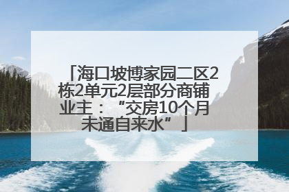 海口坡博家园二区2栋2单元2层部分商铺业主：“交房10个月未通自来水”