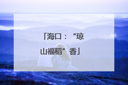 海口：“琼山福稻”香