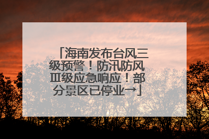 海南发布台风三级预警！防汛防风Ⅲ级应急响应！部分景区已停业→