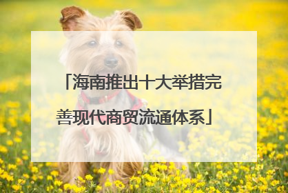 海南推出十大举措完善现代商贸流通体系
