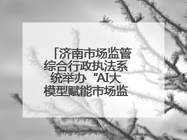 济南市场监管综合行政执法系统举办“AI大模型赋能市场监管”专题培训