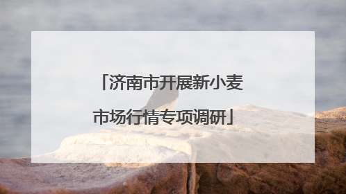 济南市开展新小麦市场行情专项调研