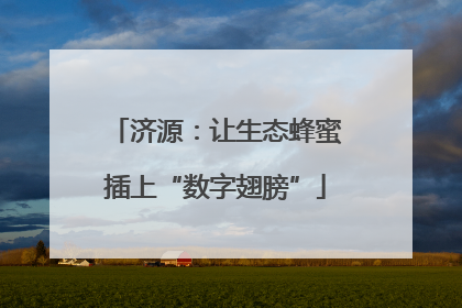 济源：让生态蜂蜜插上“数字翅膀”