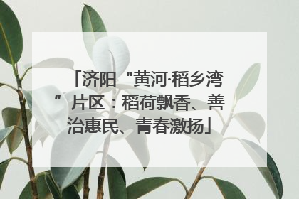 济阳“黄河·稻乡湾”片区：稻荷飘香、善治惠民、青春激扬