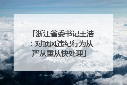 浙江省委书记王浩：对顶风违纪行为从严从重从快处理