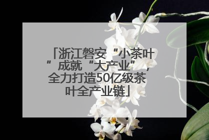 浙江磐安“小茶叶”成就“大产业”，全力打造50亿级茶叶全产业链