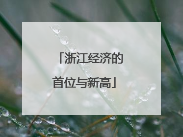 浙江经济的首位与新高