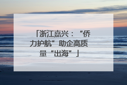 浙江嘉兴：“侨力护航”助企高质量“出海”