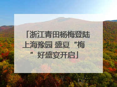 浙江青田杨梅登陆上海豫园 盛夏“梅”好盛宴开启