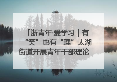 浙青年·爱学习｜有“笑”也有“理”太湖街道开展青年干部理论宣讲“开放麦”