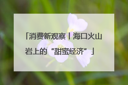 消费新观察丨海口火山岩上的“甜蜜经济”