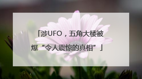 涉UFO，五角大楼被爆“令人震惊的真相”