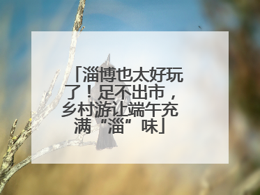 淄博也太好玩了！足不出市，乡村游让端午充满“淄”味
