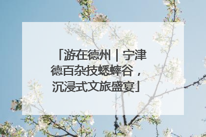 游在德州｜宁津德百杂技蟋蟀谷，沉浸式文旅盛宴