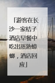 游客在长沙一家桔子酒店早餐中吃出蒸熟蟑螂，酒店回应