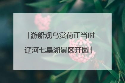 游船观鸟赏荷正当时 辽河七星湖景区开园