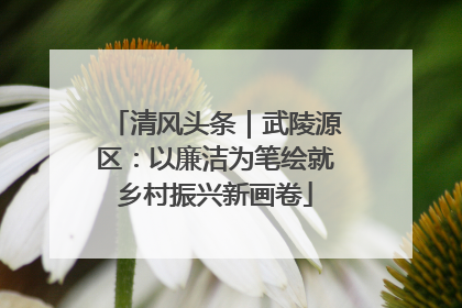 清风头条｜武陵源区：以廉洁为笔绘就乡村振兴新画卷