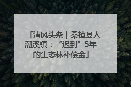 清风头条｜桑植县人潮溪镇：“迟到”5年的生态林补偿金