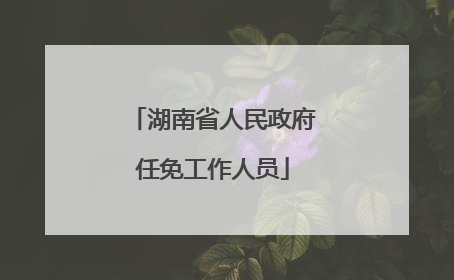 湖南省人民政府任免工作人员
