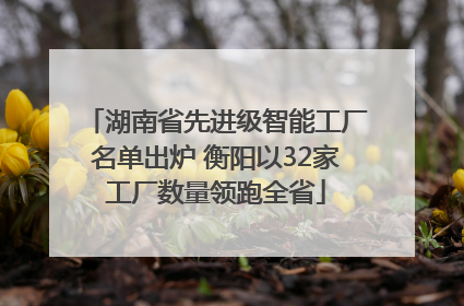 湖南省先进级智能工厂名单出炉 衡阳以32家工厂数量领跑全省