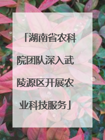 湖南省农科院团队深入武陵源区开展农业科技服务