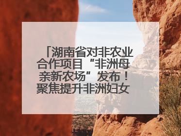 湖南省对非农业合作项目“非洲母亲新农场”发布！聚焦提升非洲妇女能力与家庭福祉
