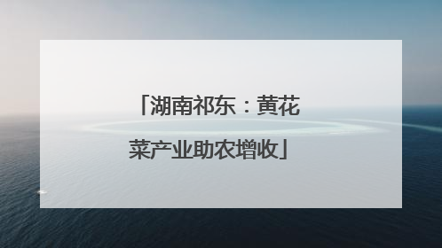 湖南祁东：黄花菜产业助农增收