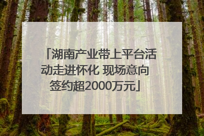 湖南产业带上平台活动走进怀化 现场意向签约超2000万元