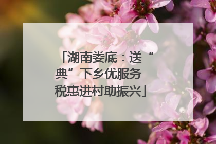 湖南娄底：送“典”下乡优服务 税惠进村助振兴